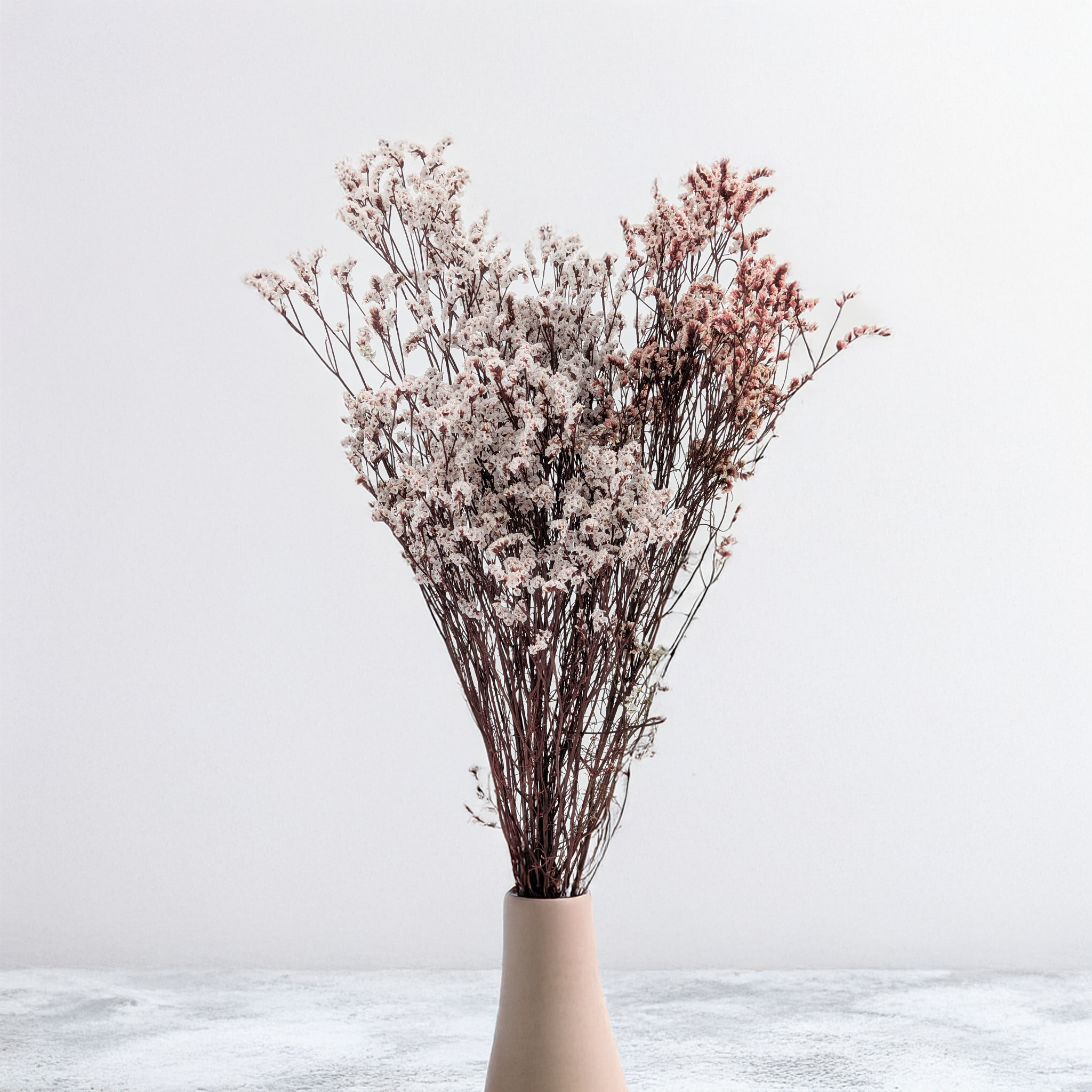 Barevné stabilizované Limonium Sinense